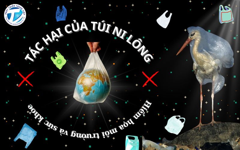 Tác hại của túi ni lông: Hiểm họa môi trường và sức khỏe&nbsp;